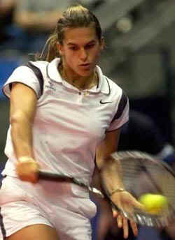 fedcup2.jpg (23562 bytes)